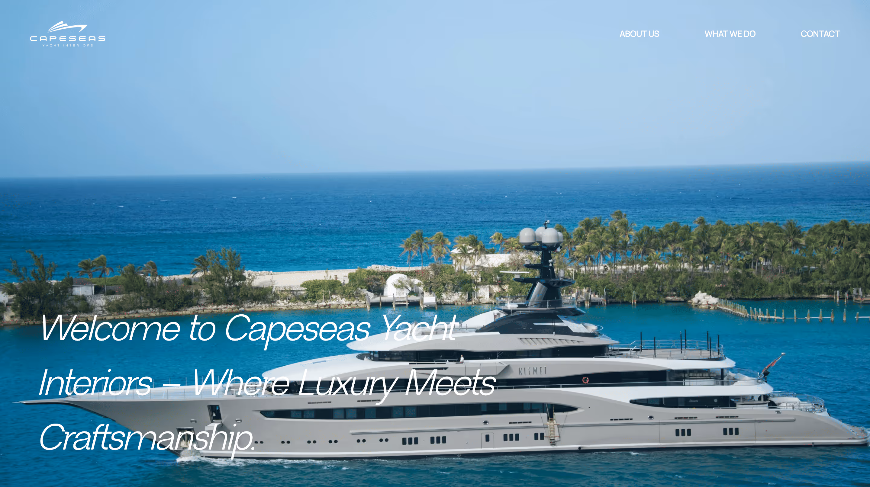 Website project link 2